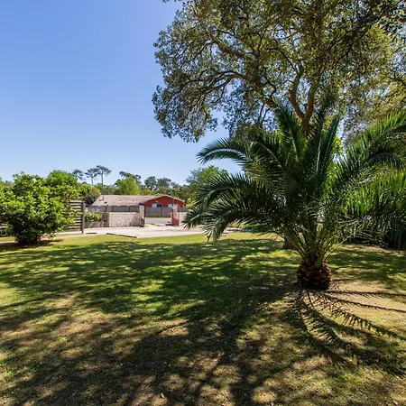 Ocean By Interhome Labenne