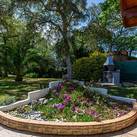 Ocean By Interhome *