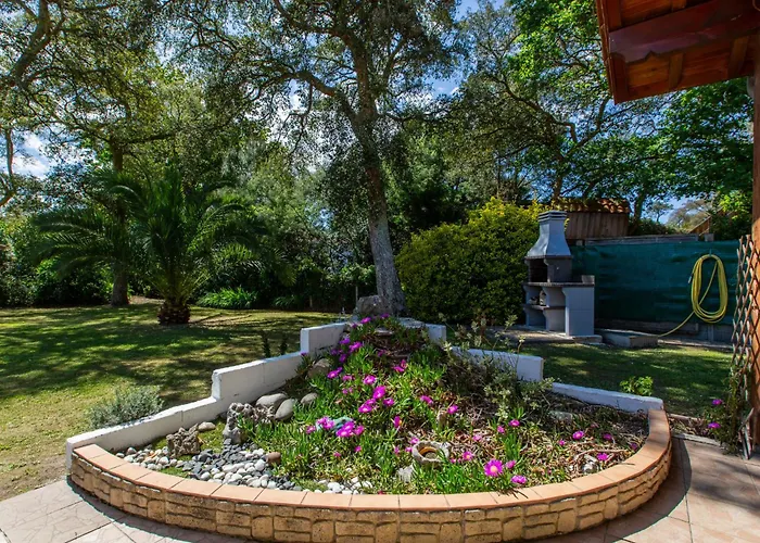 Ocean By Interhome *